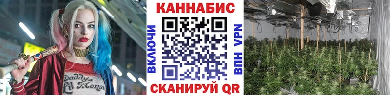 Сколько стоит Николаевск-на-Амуре Альфа ПВП Мефедрон ГАШИШ