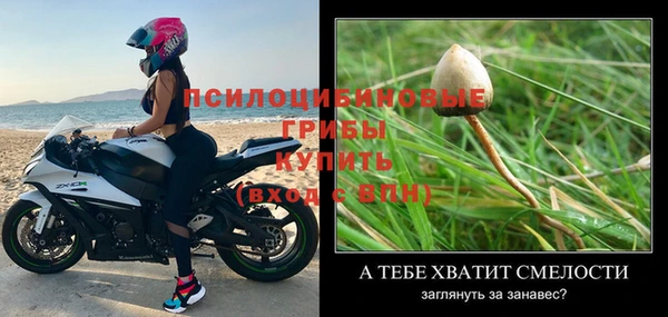 МДПВ Арсеньев