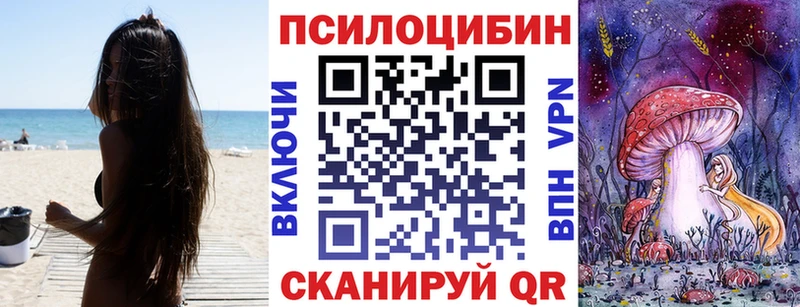 Псилоцибиновые грибы прущие грибы  наркота  Николаевск-на-Амуре 